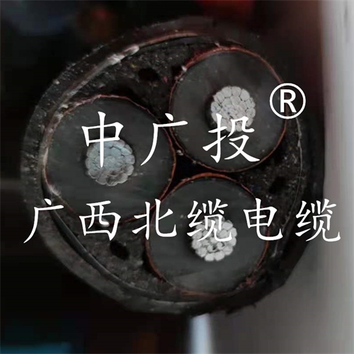 www.ygzz.com.cn
