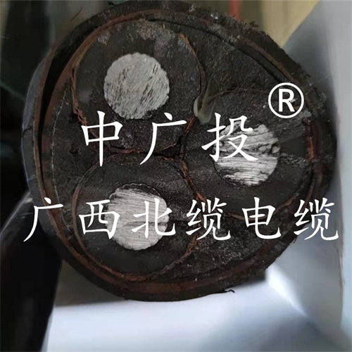 www.ygzz.com.cn
