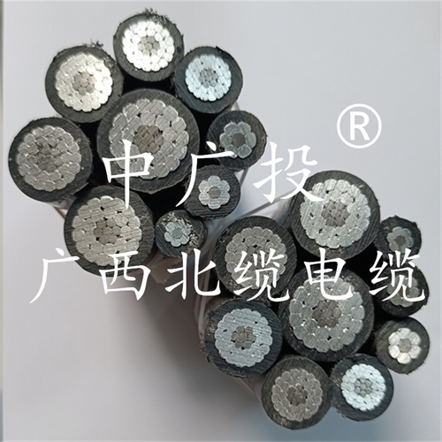 www.ygzz.com.cn