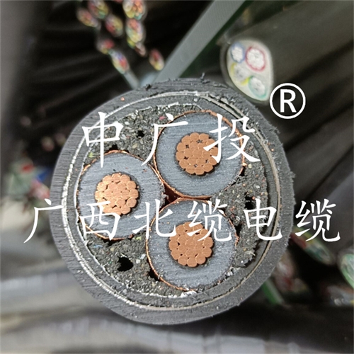 www.ygzz.com.cn