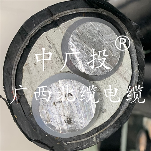 www.ygzz.com.cn