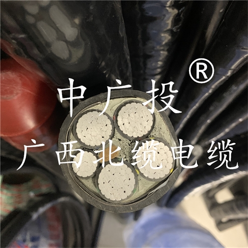 www.ygzz.com.cn