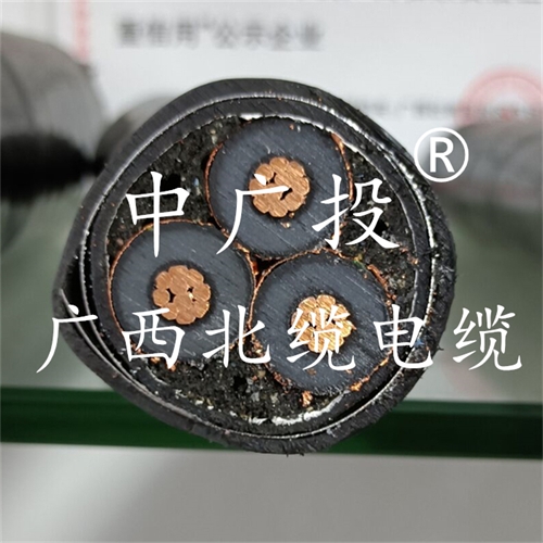 www.ygzz.com.cn