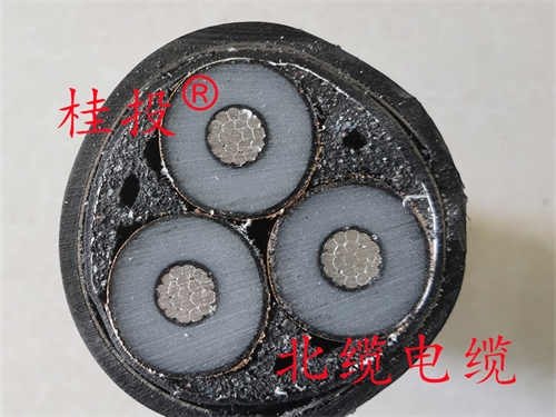 www.ygzz.com.cn