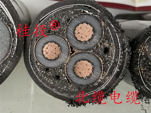 www.ygzz.com.cn