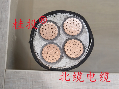 www.ygzz.com.cn