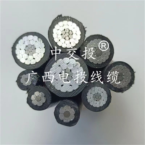www.ygzz.com.cn