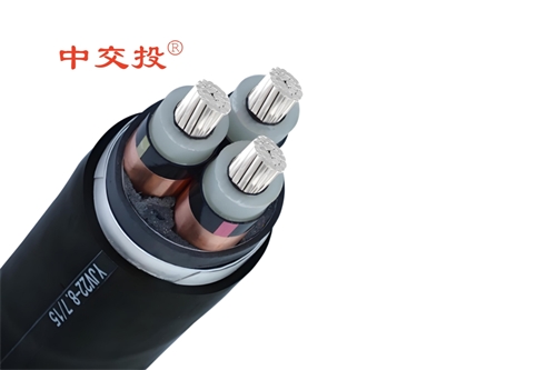 www.ygzz.com.cn
